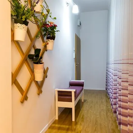 Apartament Catalina 2 Апартаменты Брашов